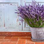 Bouquet of lavender in a rustic decorative setting